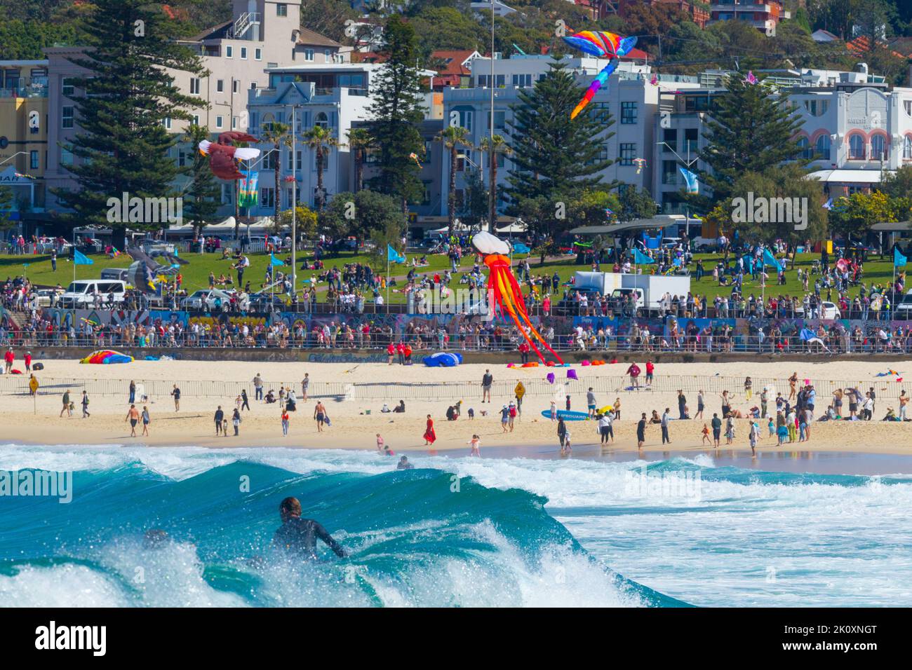 Bondi Beach in Sydney, NSW, Australien. Stockfoto