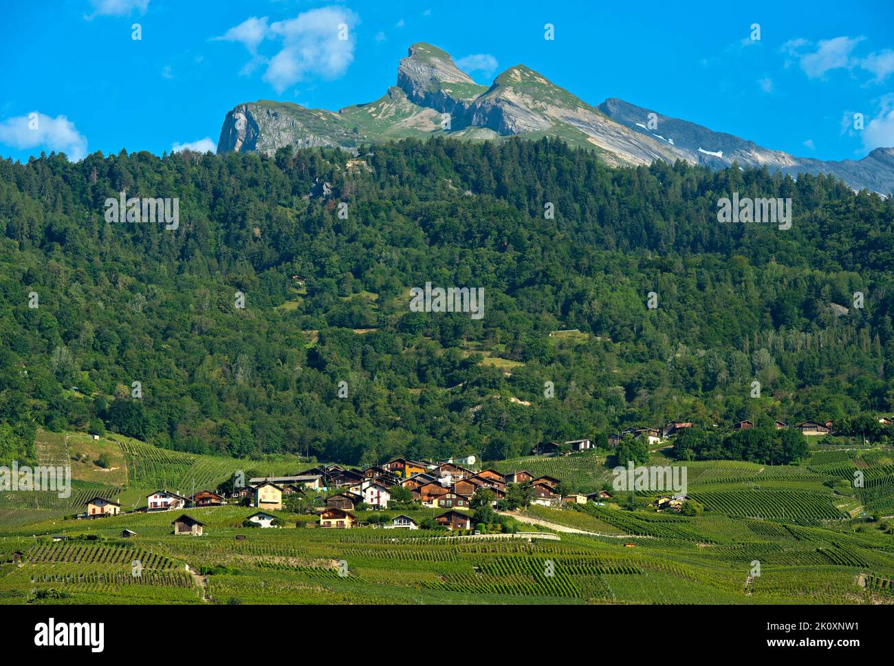Höhenlagen und Wirtschaftszonen am Nordhang des Rhonetals bei Leytron, Wallis, Schweiz Stockfoto