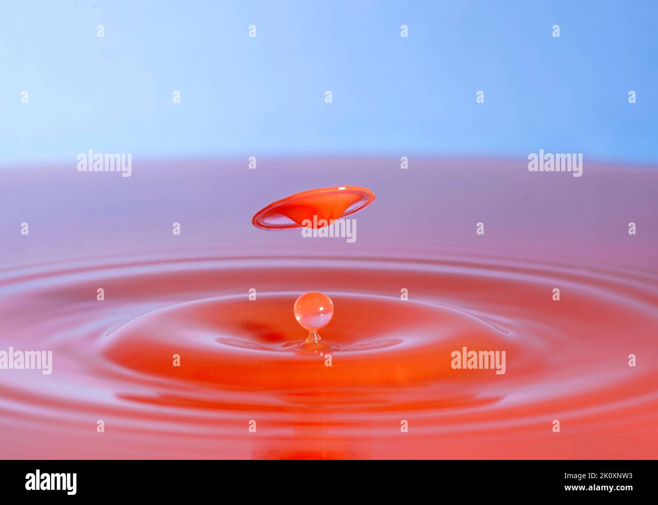 Fliegende Scheibe, Hochgeschwindigkeitsfotografie von Wassertropfen, die auf eine Wasseroberfläche treffen, Tropfenfotografie im Studio Stockfoto