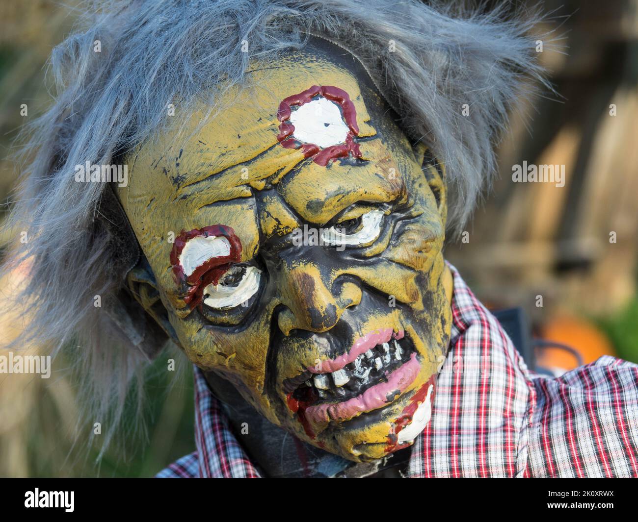 Untoter Zombie, Geistermaske. Konzept für Kleid halloween-Festival oder Karneval. Horror Maske. Maske Für Untote Zombie-Gesichter. Nahaufnahme. Stockfoto