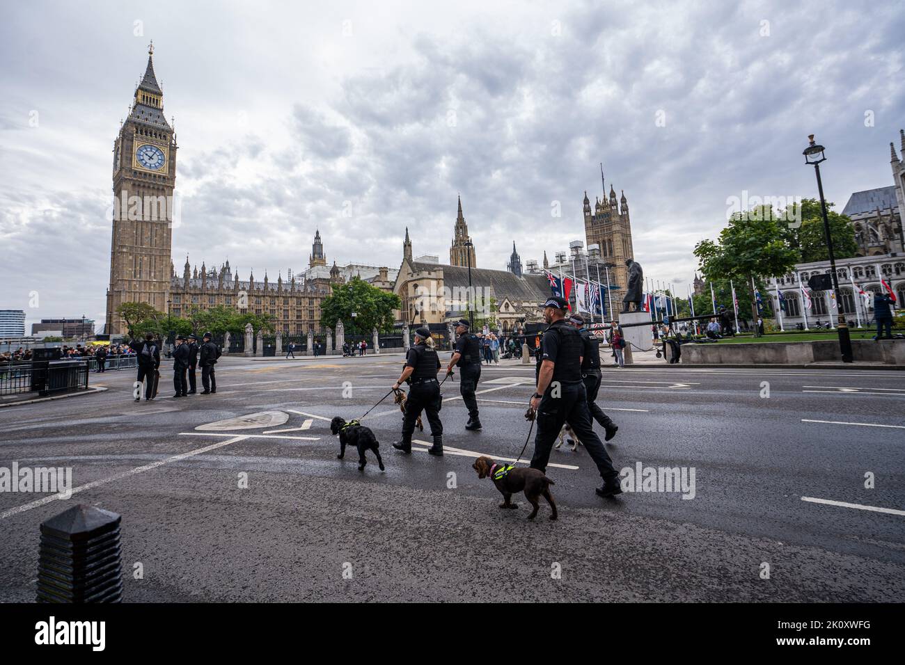 London, Großbritannien. 14. September 2022. Polizeibeamte mit Sniffer-Hunden führen vor der Trauerprozession am Mittwoch, die den Sarg von Königin Elizabeth II. Auf einem Waffenwagen der Royal Truppe Horse Artillerie tragen wird, Sicherheitskontrollen in den Houses of Parliament durch, um dort in der Westminster Hall zu liegen Der Öffentlichkeit wird in der Lage sein, ihren Respekt vor der Beerdigung am 19. September zahlen Kredit: amer ghazzal/Alamy Live News Stockfoto