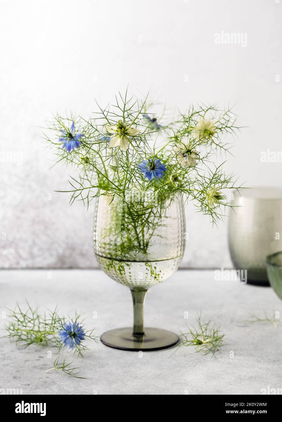 Schönes Bouquet aus blauem und weißem Love-in-a-Mist oder Teufel in der Buschblume im Glaswein. (Nigella damascena) Stillleben. Stockfoto