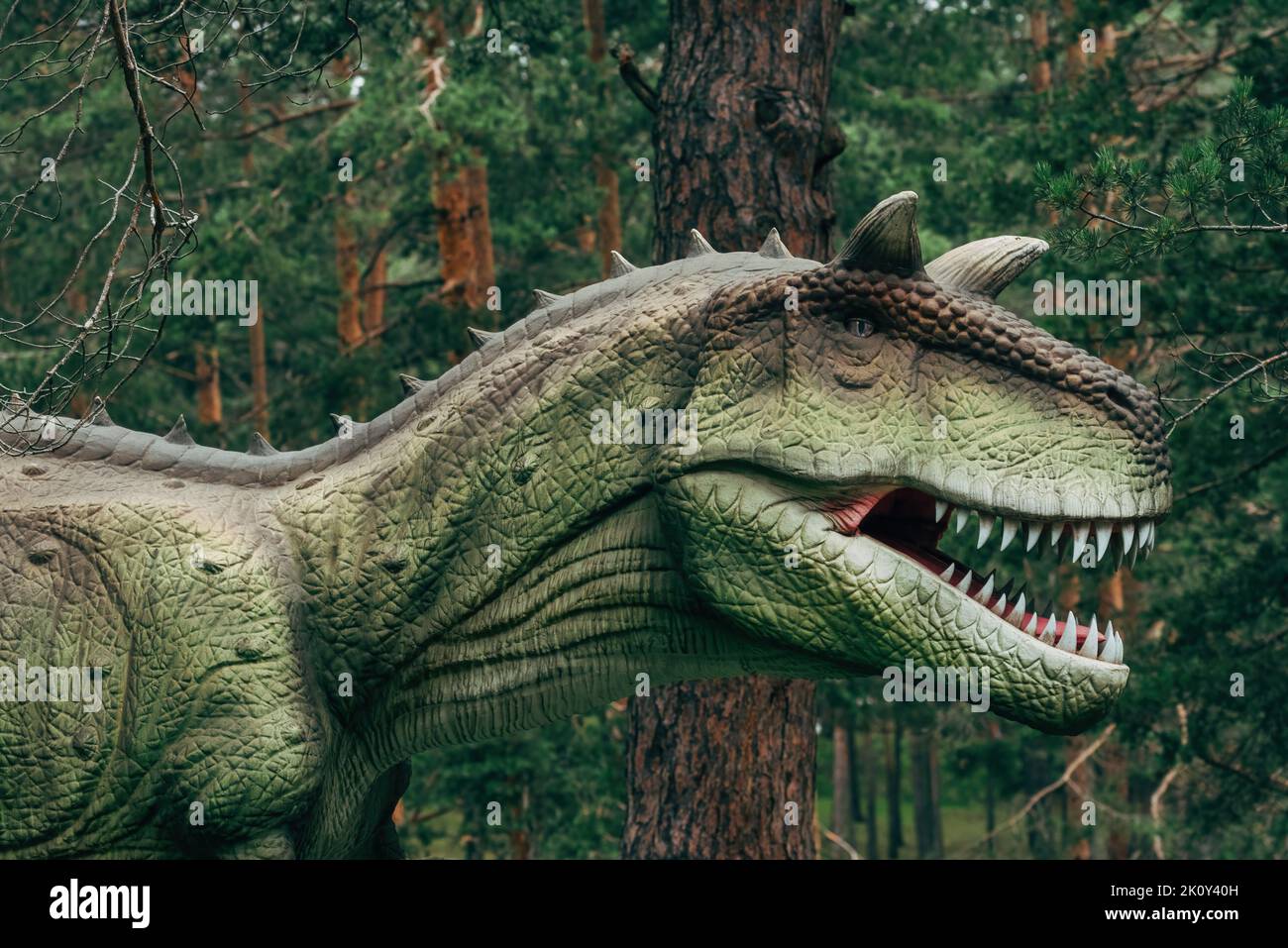 Carnotaurus Dinosaurier Replik im Themenpark, theropod Dinosaurier, der in Südamerika während der späten Kreidezeit lebte Stockfoto