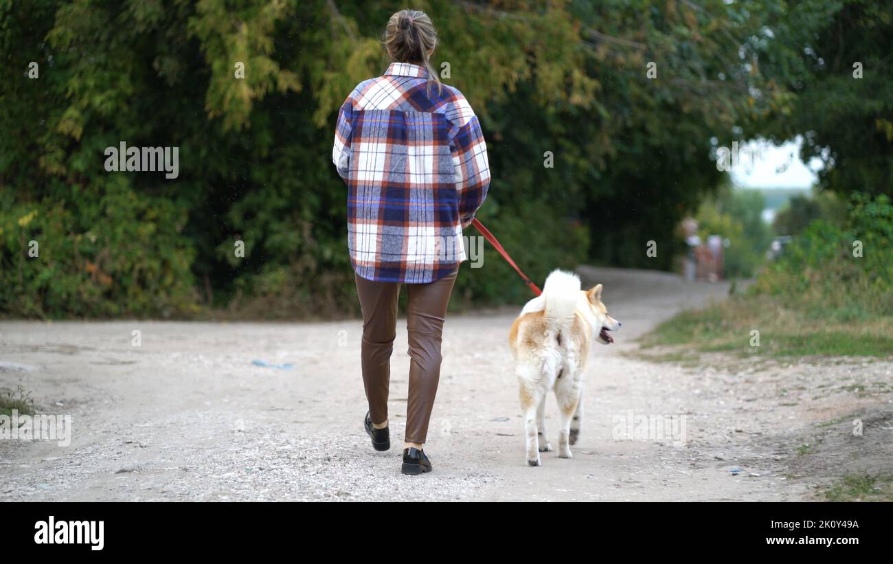 Rückansicht einer Frau mit einem Akita Inu Hund bei einem abendlichen Spaziergang auf einer Landstraße. Die Gastgeberin hält ihren geliebten Hund an der Leine und genießt einen Spaziergang Stockfoto