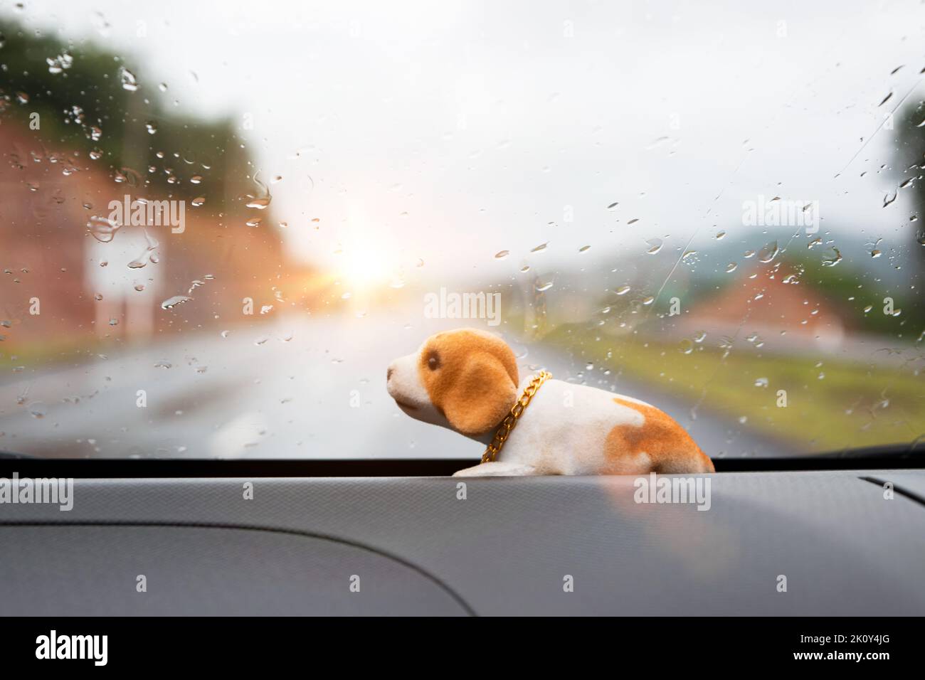 Brauner Welpe Hund Puppe schüttelt nickenden Kopf im Auto Stockfoto