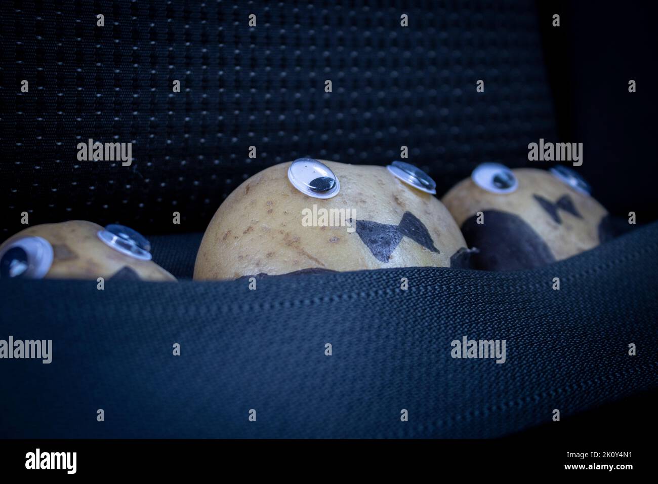 Gebackene Kartoffeln in ihren Abendjacken sitzen mit den Sicherheitsgurten im Auto auf einer Party Stockfoto