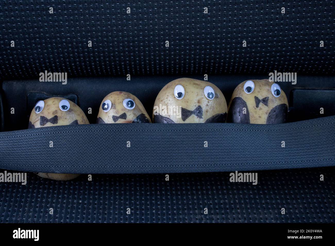 Gebackene Kartoffeln in ihren Abendjacken sitzen mit den Sicherheitsgurten im Auto auf einer Party Stockfoto