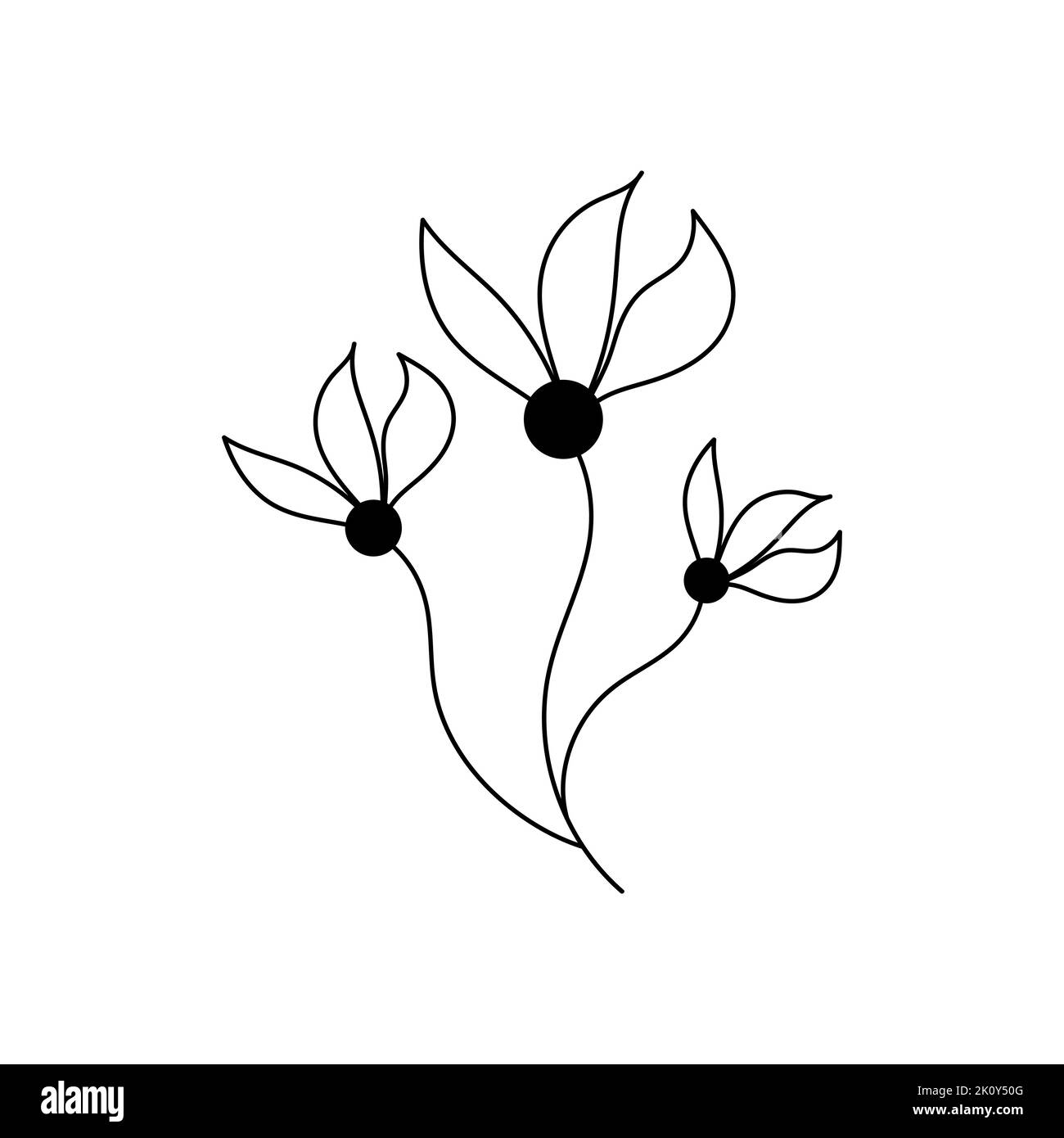 Illustration einer Blume, Silhouette eines Zweiges mit Blumen und Blättern. Vektorgrafik. Blumendruck Stock Vektor