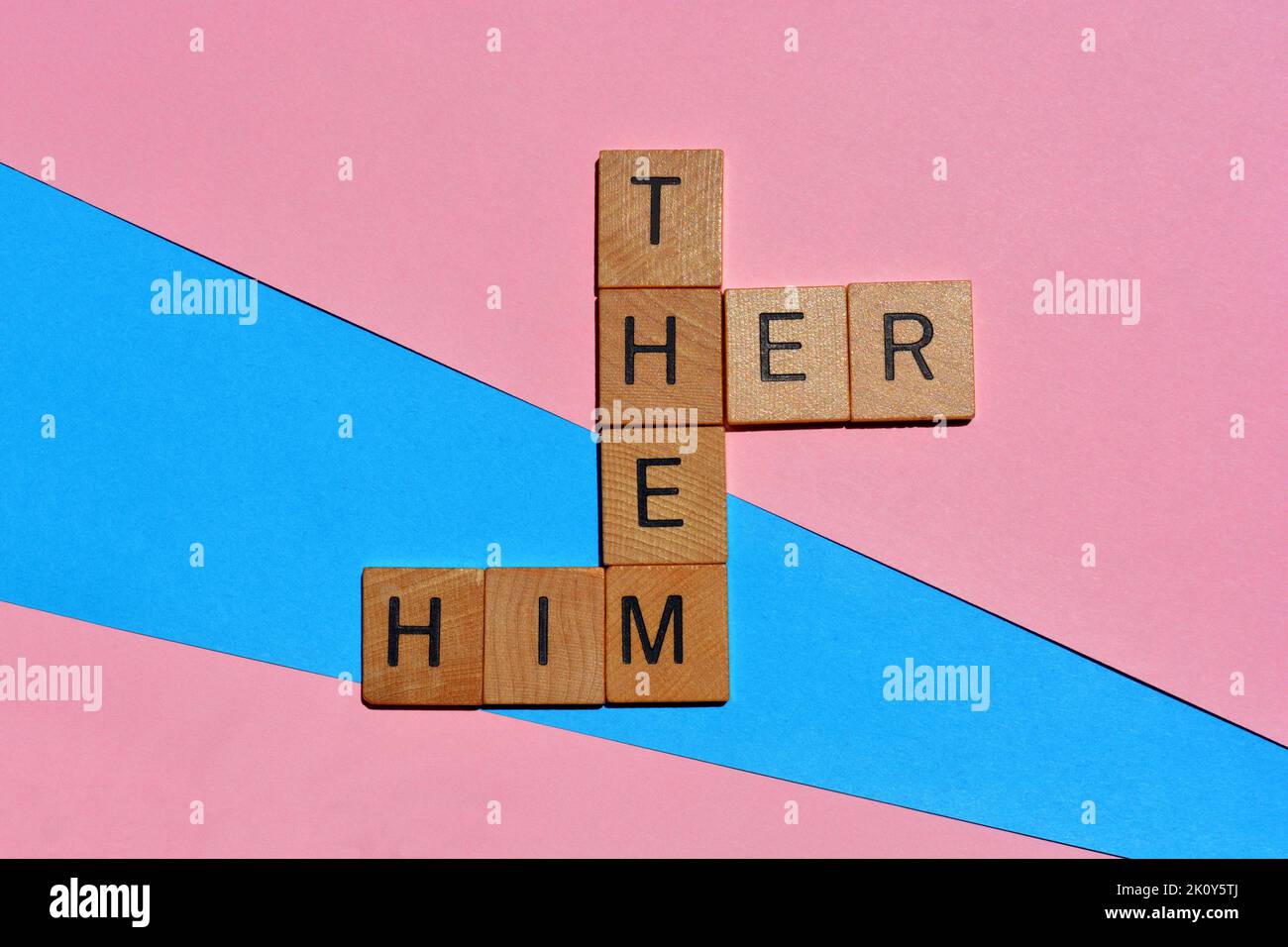 Er, sie, sie, Wörter in Holzalphabetenbuchstaben in Kreuzworträtsel-Form auf rosa und blauem Hintergrund. Geschlechtspronomen Stockfoto