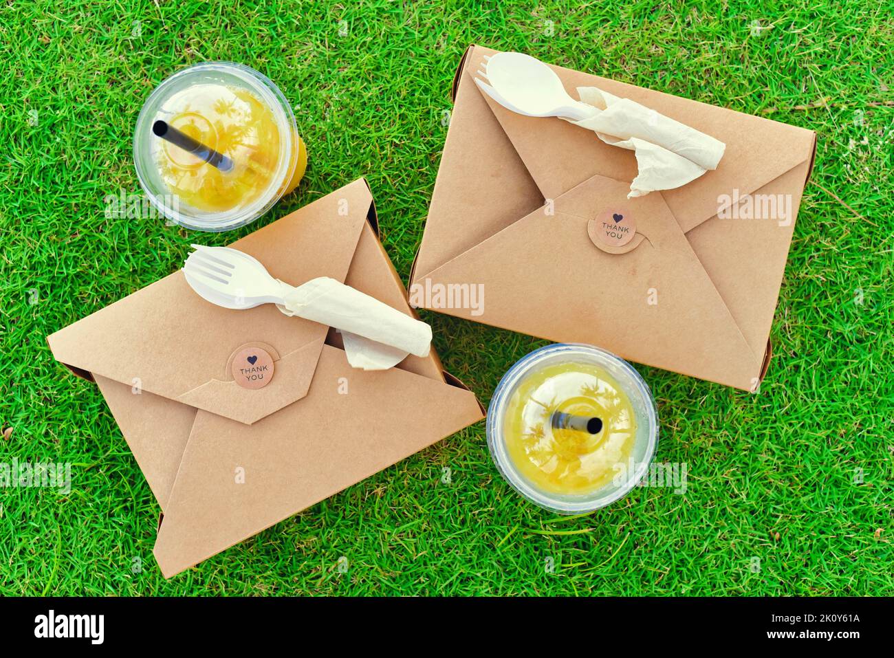 Essen mit Pappschachteln und Tassen Eistee auf grünem Gras mitnehmen Stockfoto