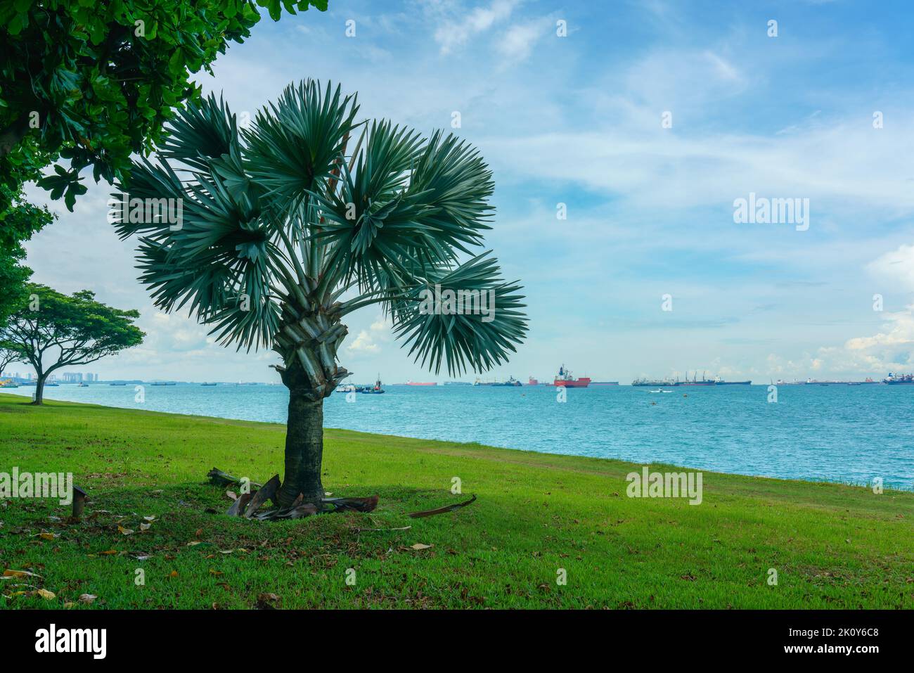 Singapur, 25. Mai 2018: Seeufer mit Vegetation auf der Promenade bei Tag Stockfoto