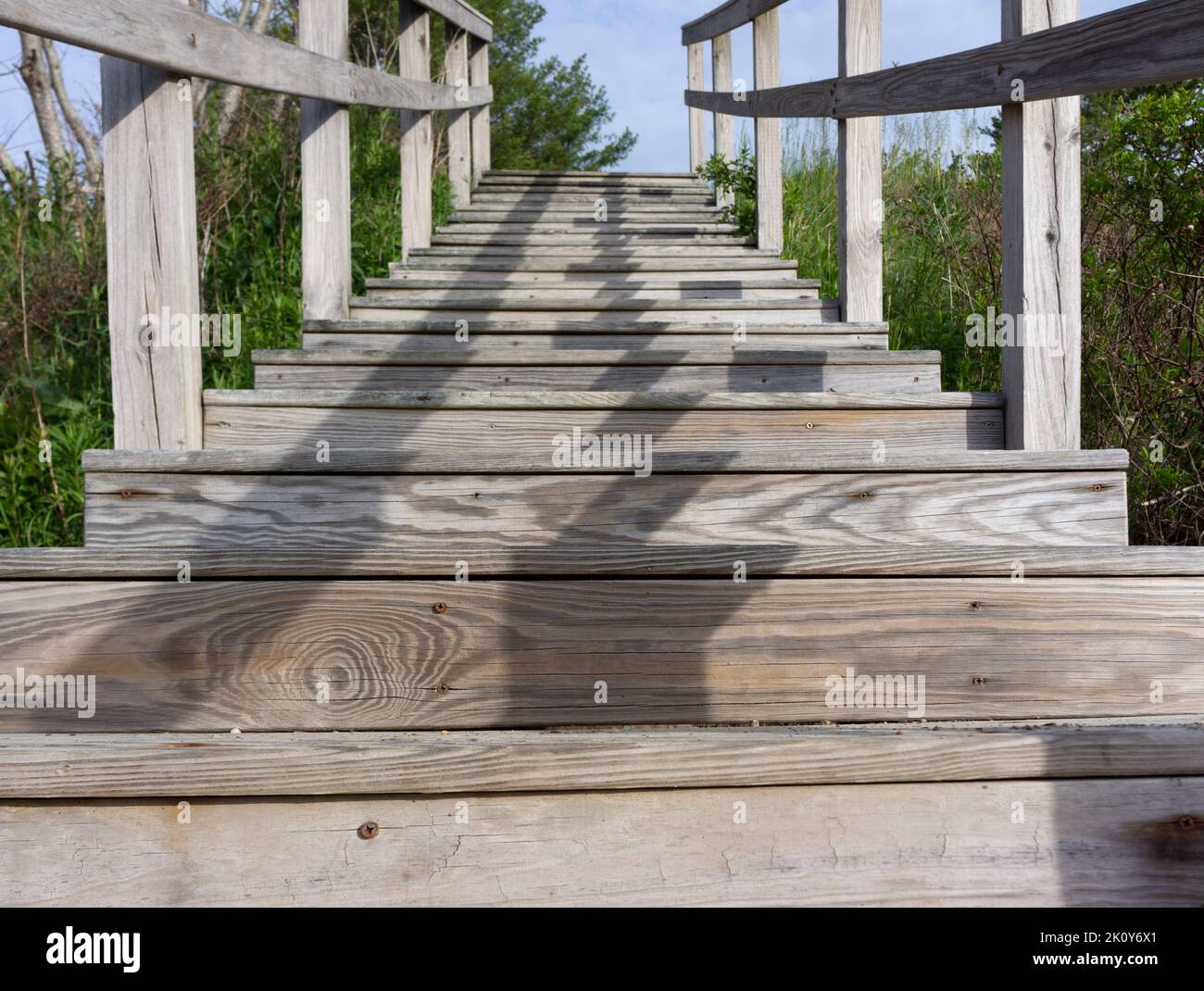 Ansicht von unten nach oben auf Holztreppen mit Pfosten und Geländern, umgeben von Gras und Pinsel. Stockfoto