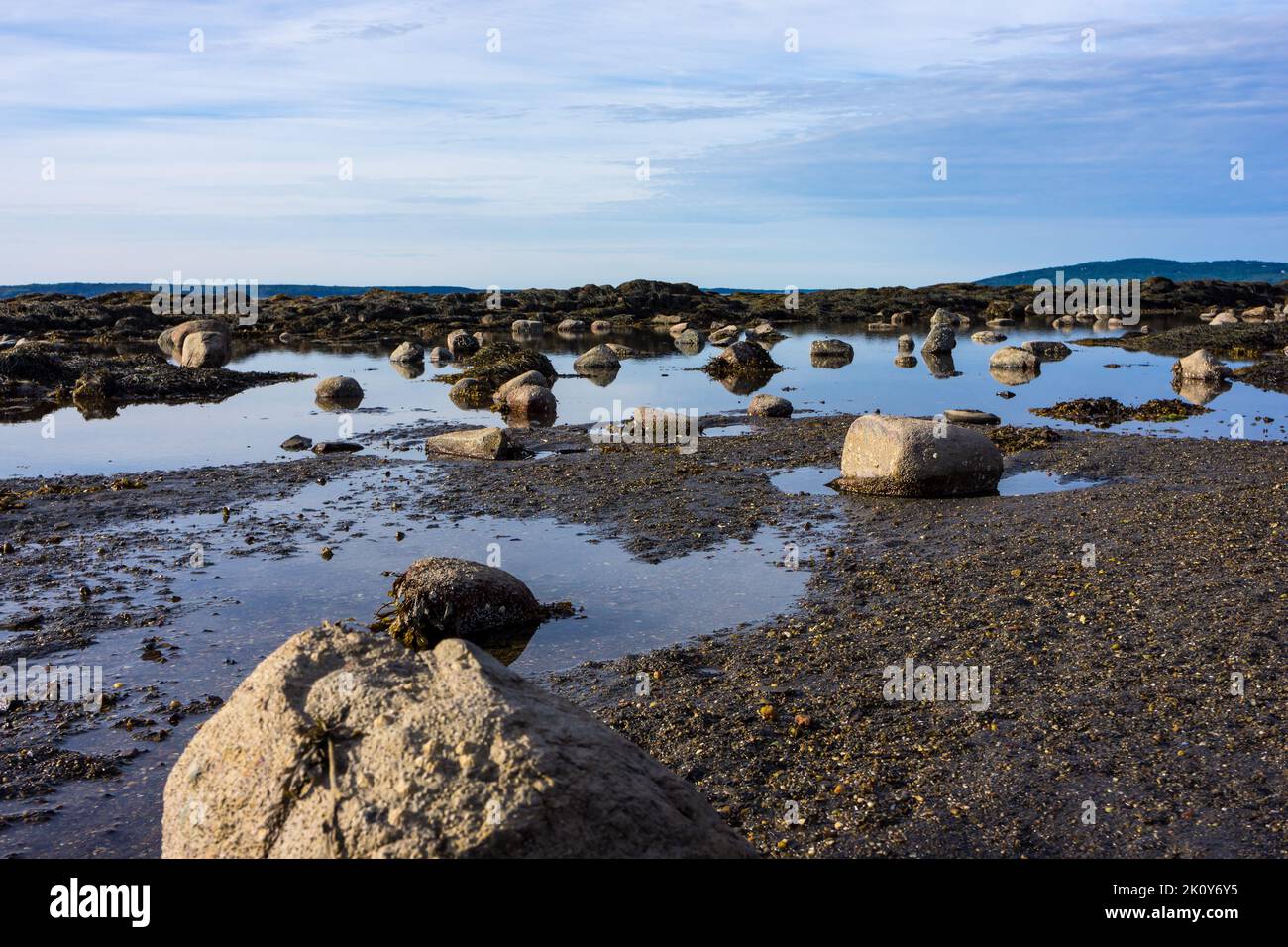 Blick auf einen Gezeitenpool bei Ebbe in Maine im Sommer mit fernen Hügeln und Himmel im Hintergrund. Stockfoto