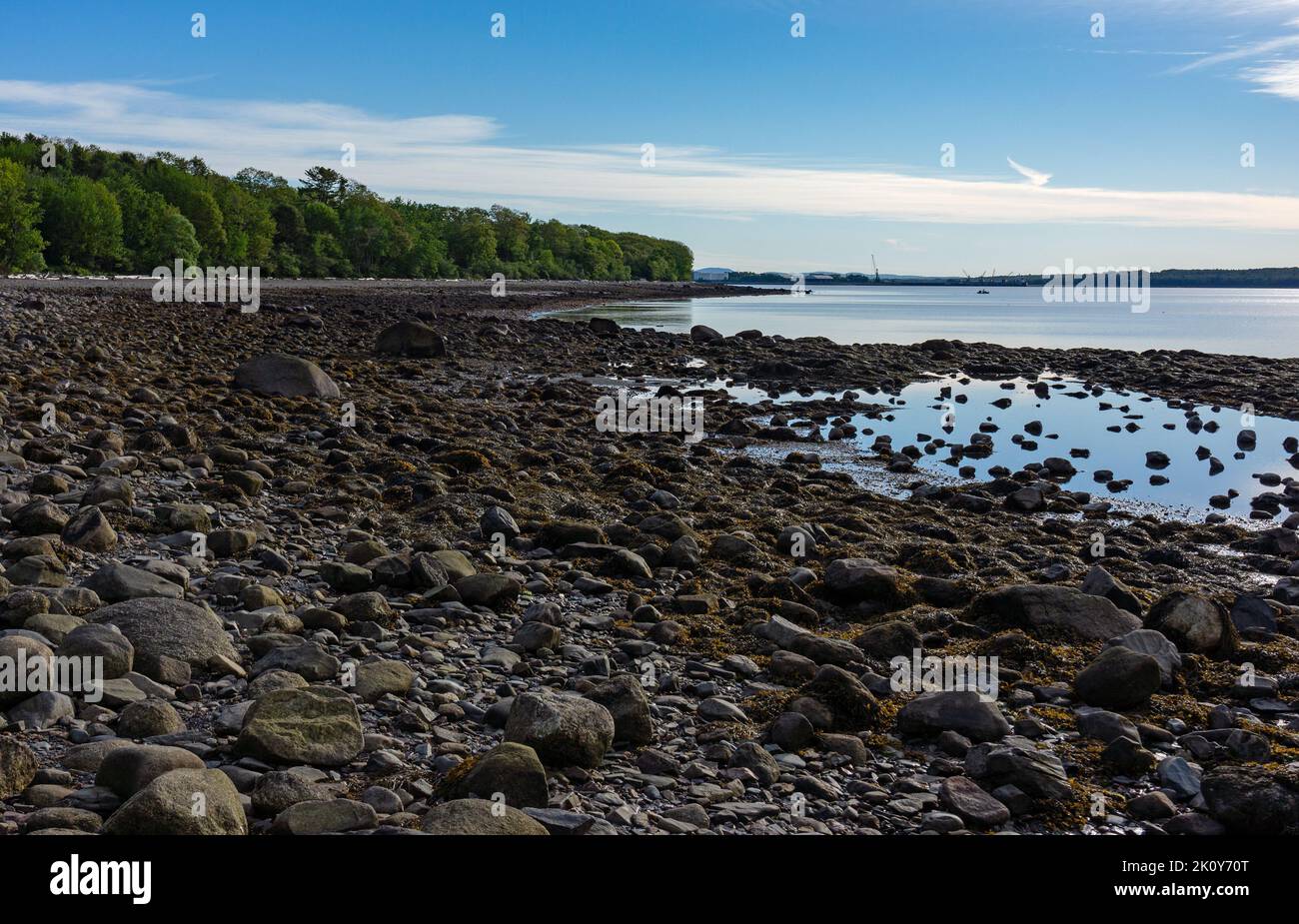 Ebbe an der Küste von Maine an der Penobscot Bay im frühen Morgenlicht. Stockfoto