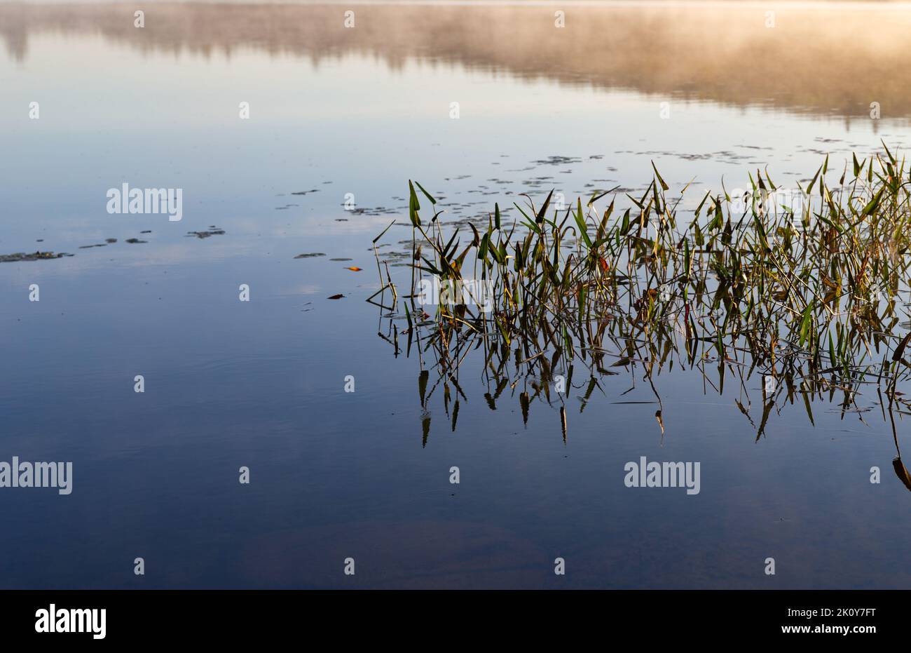 Nahansicht des Sanborn Pond in Maine mit Nebel über dem Schilf und der Spiegelung des Himmels am frühen Morgen im Herbst. Stockfoto
