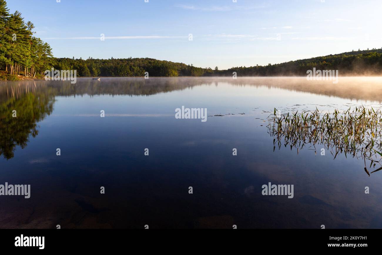 Sanborn Pond in Maine am frühen Morgen mit Nebel auf dem Wasser im frühen Frühjahr. Stockfoto
