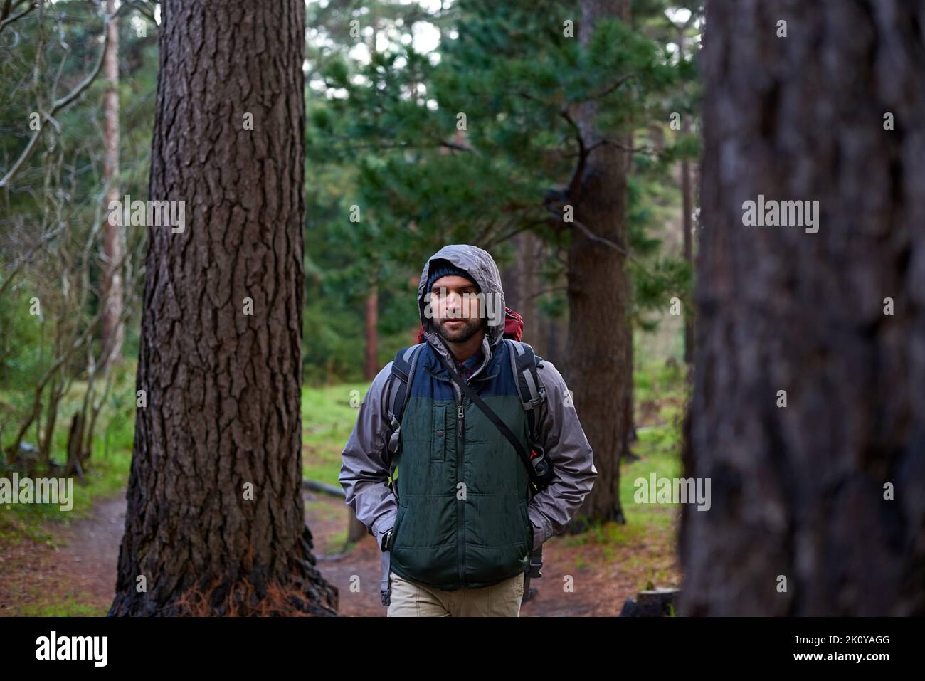 Genießen Sie die frische Luft. Ein junger Mann trägt einen Rucksack beim Wandern im Wald. Stockfoto