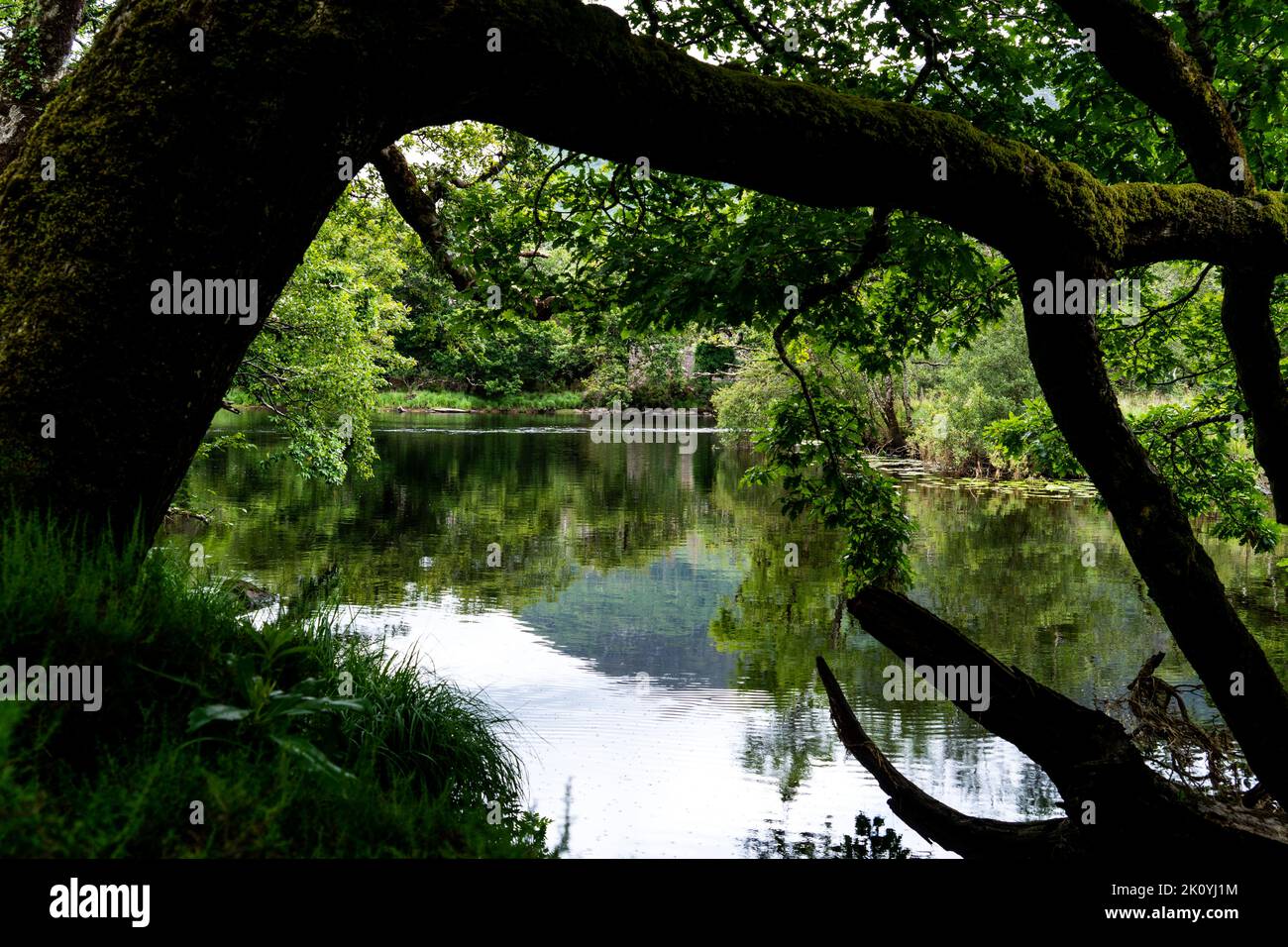 Treffen der Gewässer, Killarney.. Hier verschmelzen alle drei herrlichen Seen von Killarney mit der alten Weir Bridge. Stockfoto