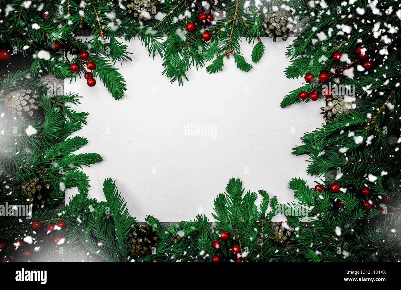 Winter-Weihnachtsflagge 71x102 Cm – Doppelseitig Mit Weihnachtsvogel & Tannenzweigen, Wetterfest, Für Garten & Terrasse