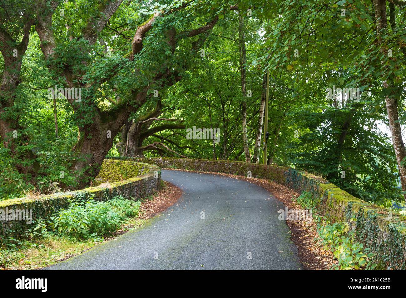 Landstraße in der Nähe von Llanstepher, Powys, Wales, Großbritannien Stockfoto