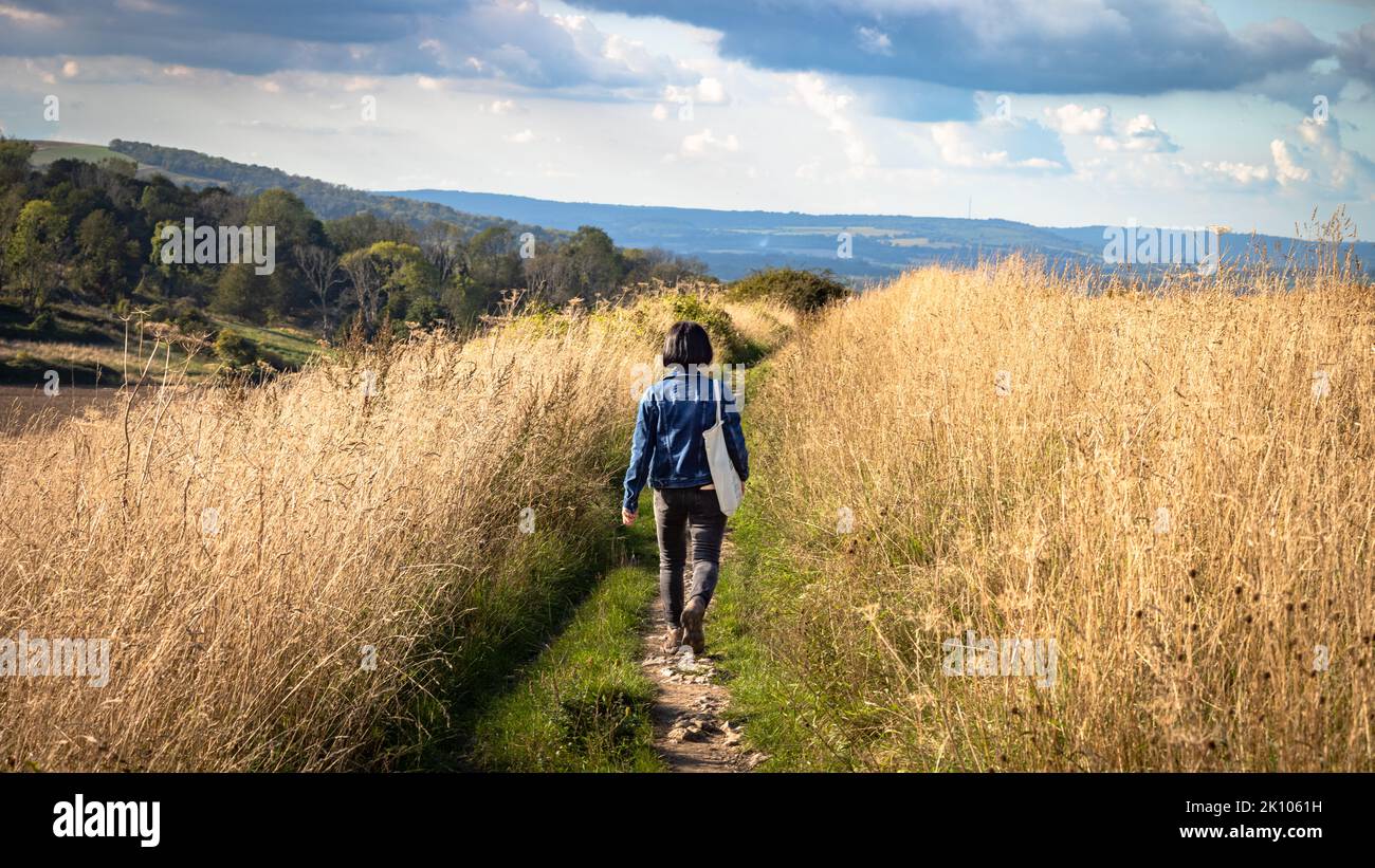 Eine Frau, die eine Tasche trägt, geht auf dem South Downs Way-Fernwanderweg in West Sussex, Großbritannien. Stockfoto