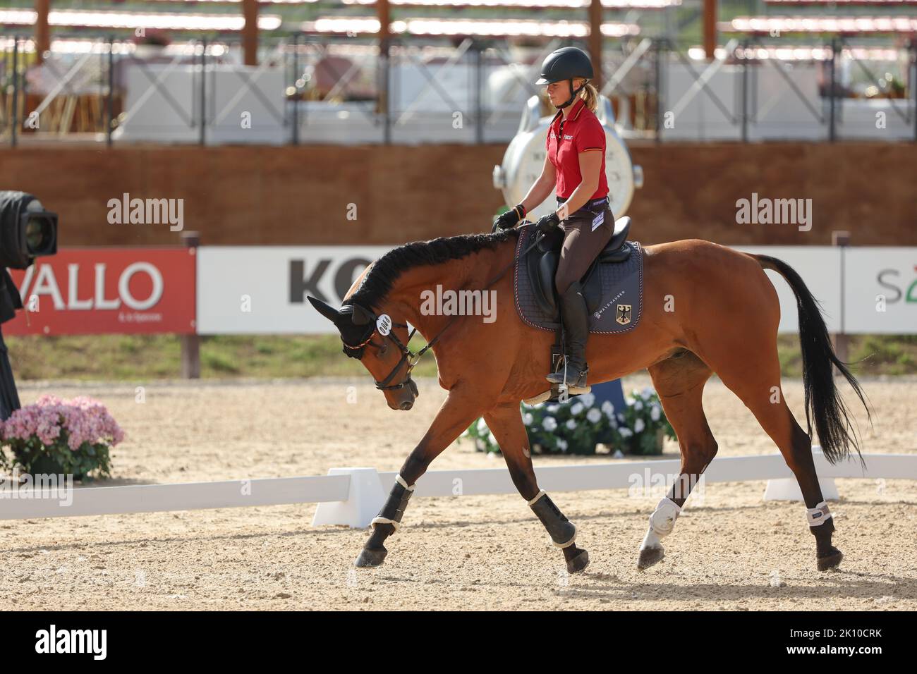 Rocca Di Papa, Italien. 14. September 2022. Pferdesport: Weltmeisterschaft, Eventing, Dressur. Dressurreiterin Alina Dibowski (Deutschland) reitet während eines Trainings auf Barbados. Die deutschen Vielseitigkeitspferde sind fit für die WM in Italien. Die fünf vierbeinigen Freunde bestanden die Veterinärprüfung ohne Beschwerden. Die Wettkämpfe des Triathlons beginnen am Donnerstag mit der Dressur. Nach dem Langlauf am Samstag wird die Entscheidung im Springen am Sonntag getroffen. Quelle: Friso Gentsch/dpa/Alamy Live News Stockfoto