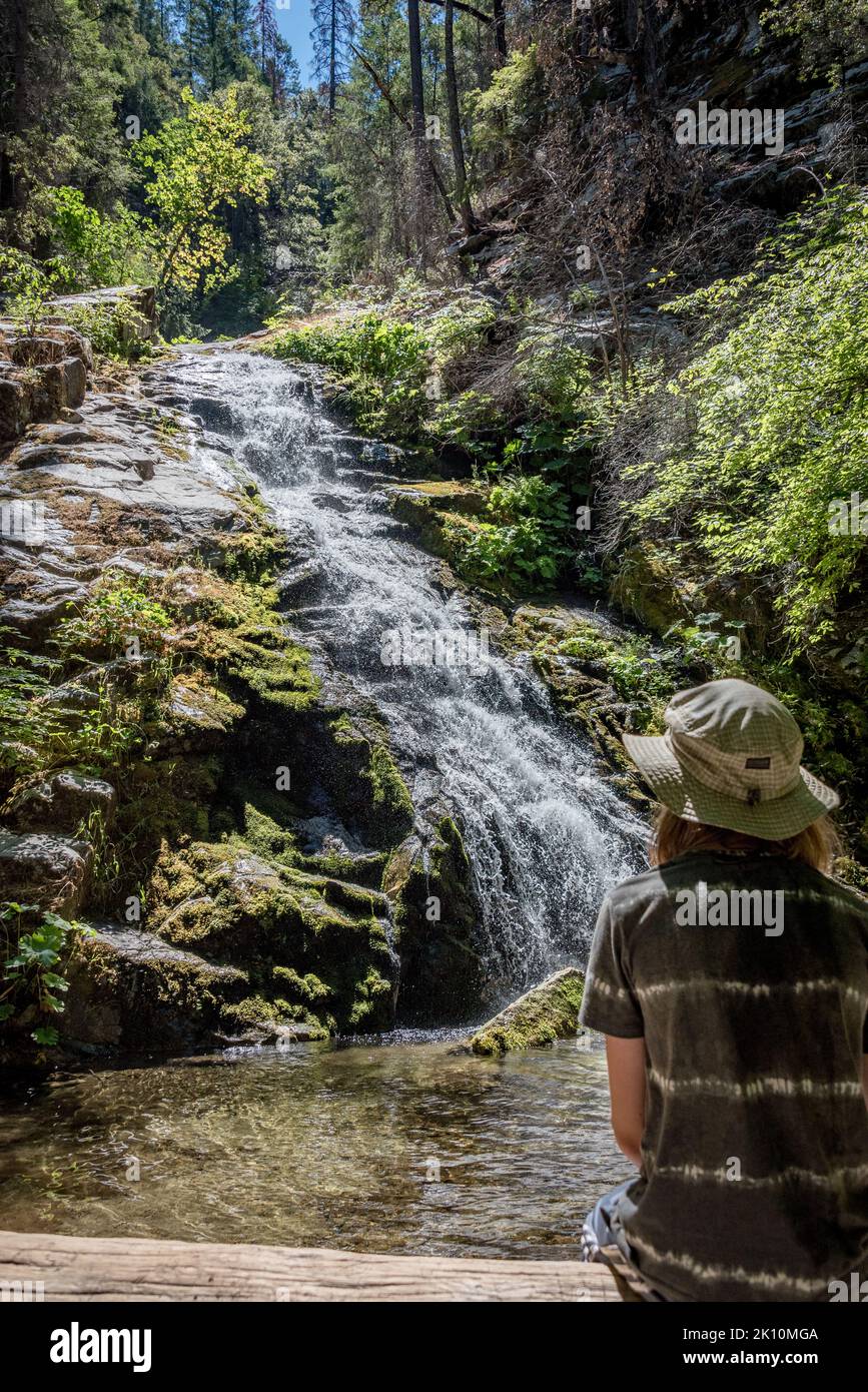 Ein Junge sitzt auf einer Sommerwanderung in den Klamath Mountains, Shasta County, Nordkalifornien, und beobachtet die unteren Whiskeytown Falls, einen kaskadierenden Wasserfall. Stockfoto