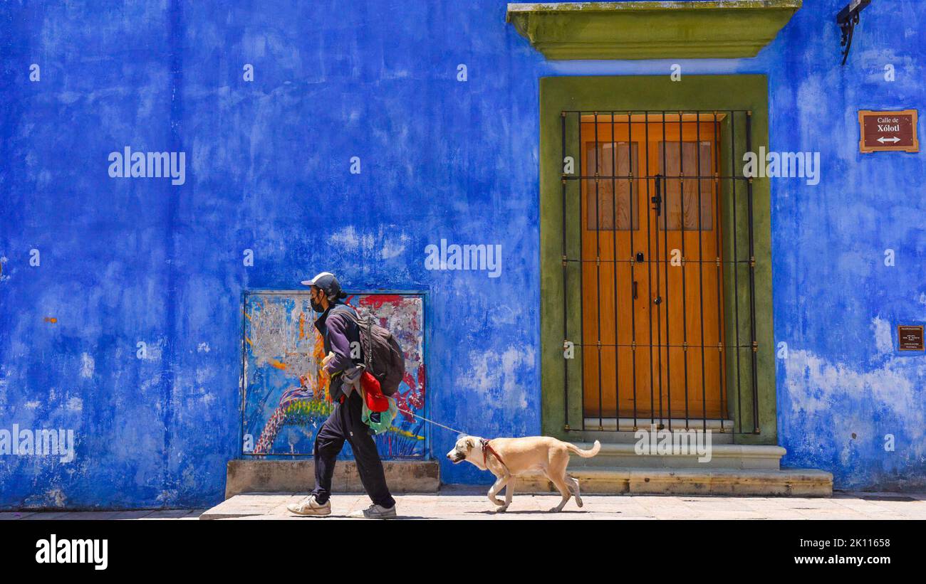 Mann und sein Hund, Oaxaca de Juarez, Historisches Stadtzentrum, Oaxaca, mexiko Stockfoto