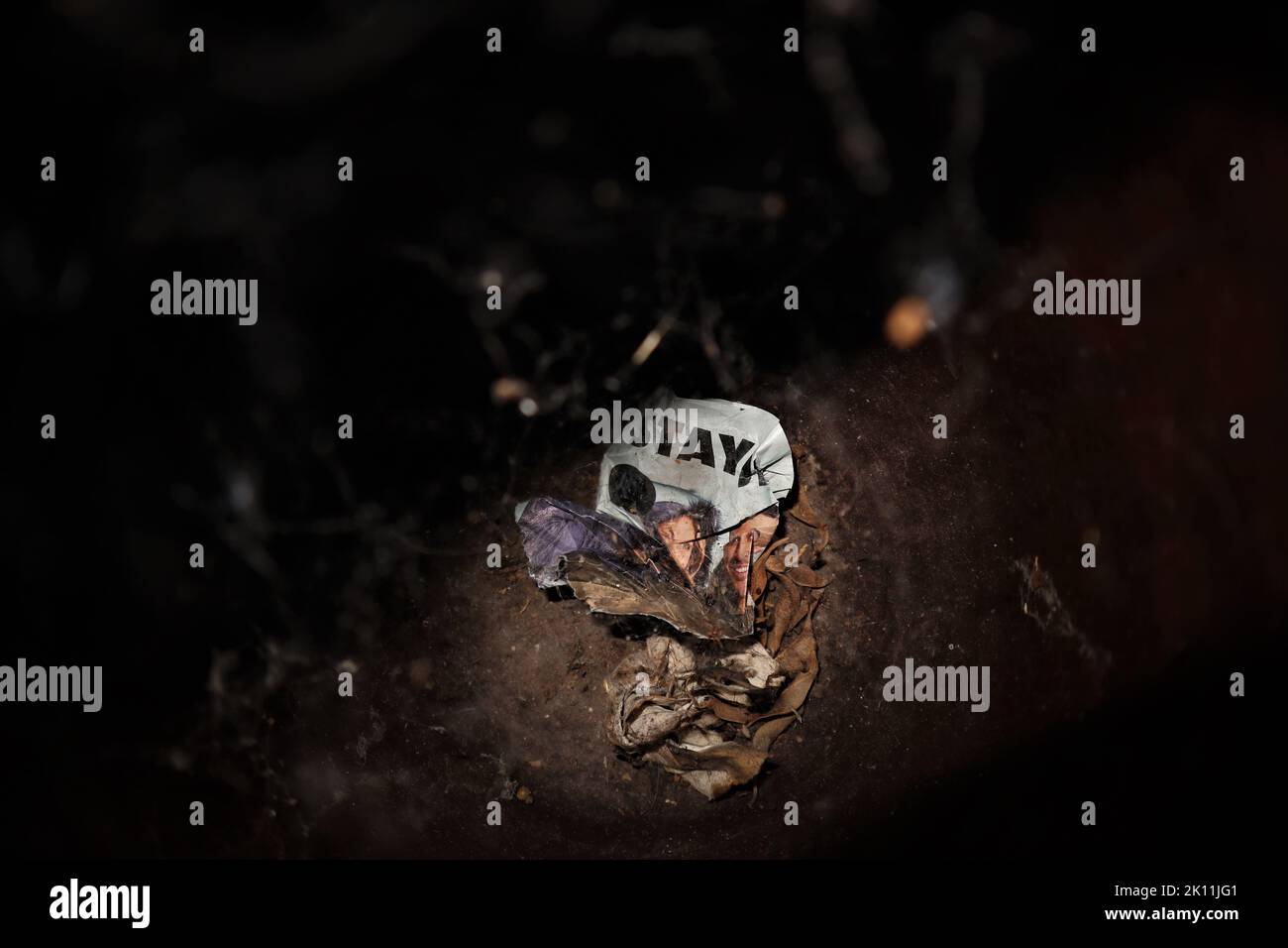 Eindringliche Bilder, „Tag“. Dieses Bild stellt einen tiefen Wunsch dar, den wir alle nach emotionaler Verbindung und dem Festhalten an unseren sinnvollen Beziehungen haben. Stockfoto