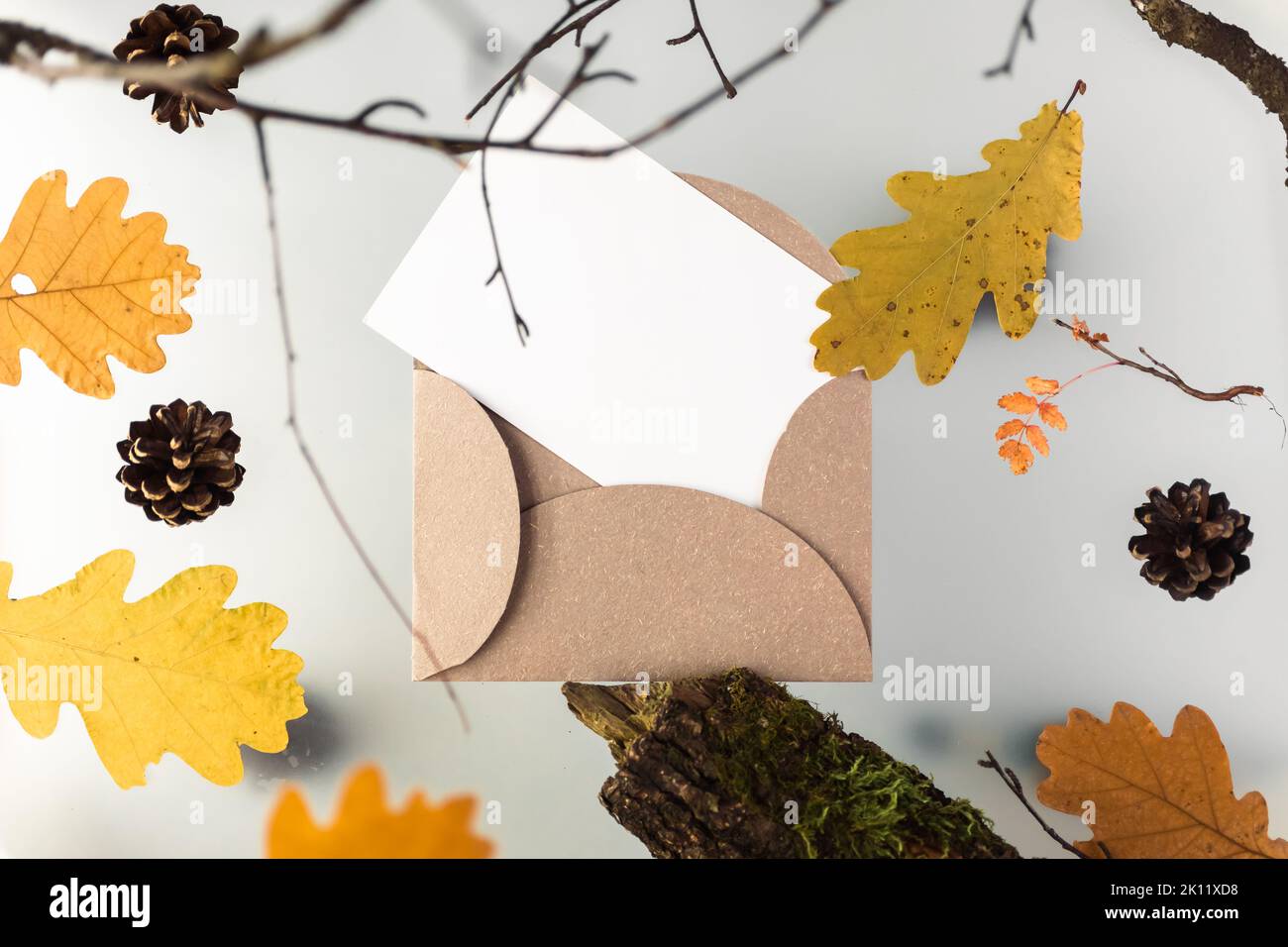 Herbstblätter auf einem trüben mehrstufigen Hintergrund, mit natürlichen Elementen, Treibholz und Ästen. Nachbau einer weißen Postkarte. Hochwertige Fotos Stockfoto