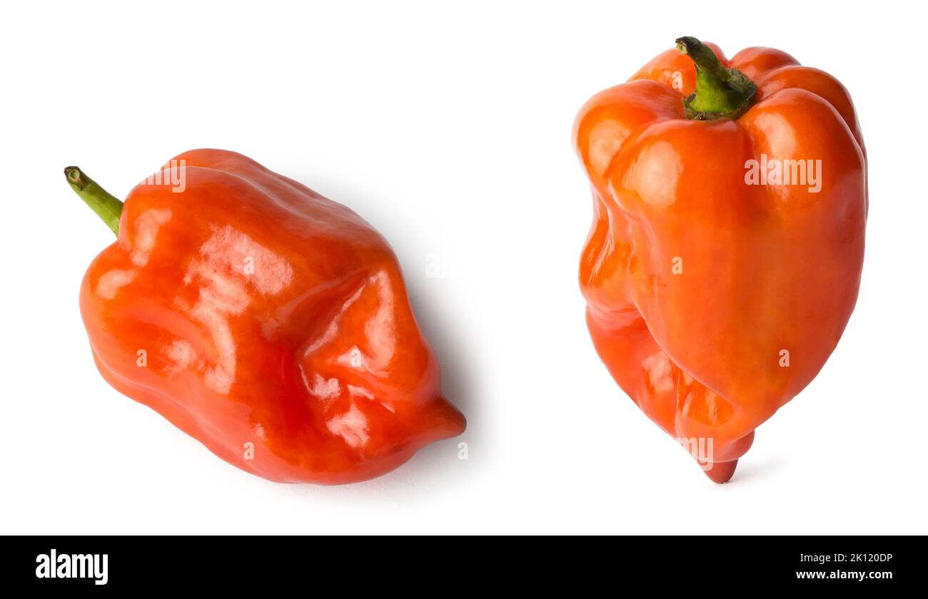 habanero Chilischoten isoliert auf weißem Hintergrund, rote Farbe heiße Sorte von Paprika, Sammlung mit verschiedenen Winkeln Stockfoto