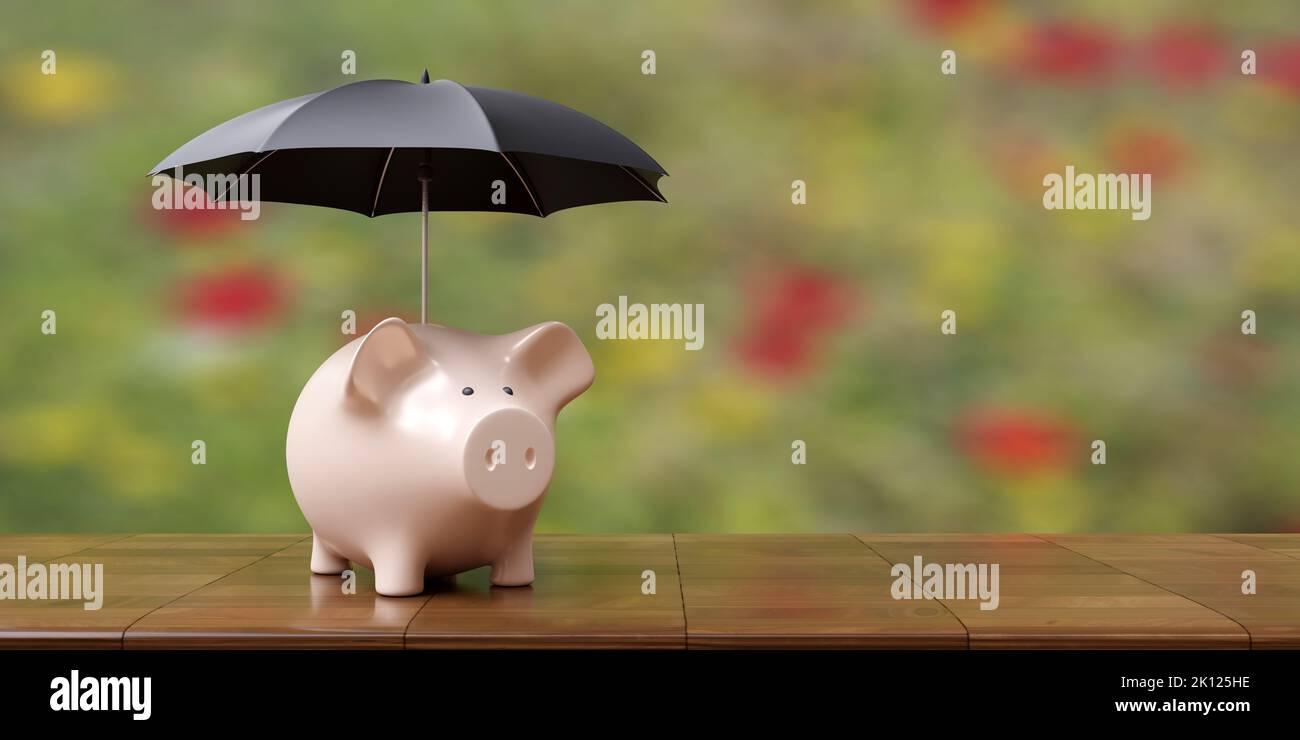 Geldeinsparungen sind sicher. Sparschwein unter einem schwarzen Regenschirm. Finanzkrise, Bankenschutzkonzept. 3D Rendern Stockfoto