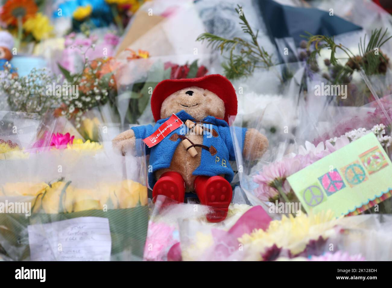 Sandringham, Großbritannien. 12. September 2022. Heute, am 12.. September, in den Norwich Gates, in Sandringham, Norfolk, ein Kuscheltier mit Paddington-Bären unter den Blumen-Tributen. Das Land trauert noch offiziell um Königin Elisabeth II., die von König Karl III. Abgelöst wurde Königin Elizabeth II. Starb am 8. September 2022, als sie im Balmoral Castle in Schottland wohnte. Kredit: Paul Marriott/Alamy Live Nachrichten Stockfoto