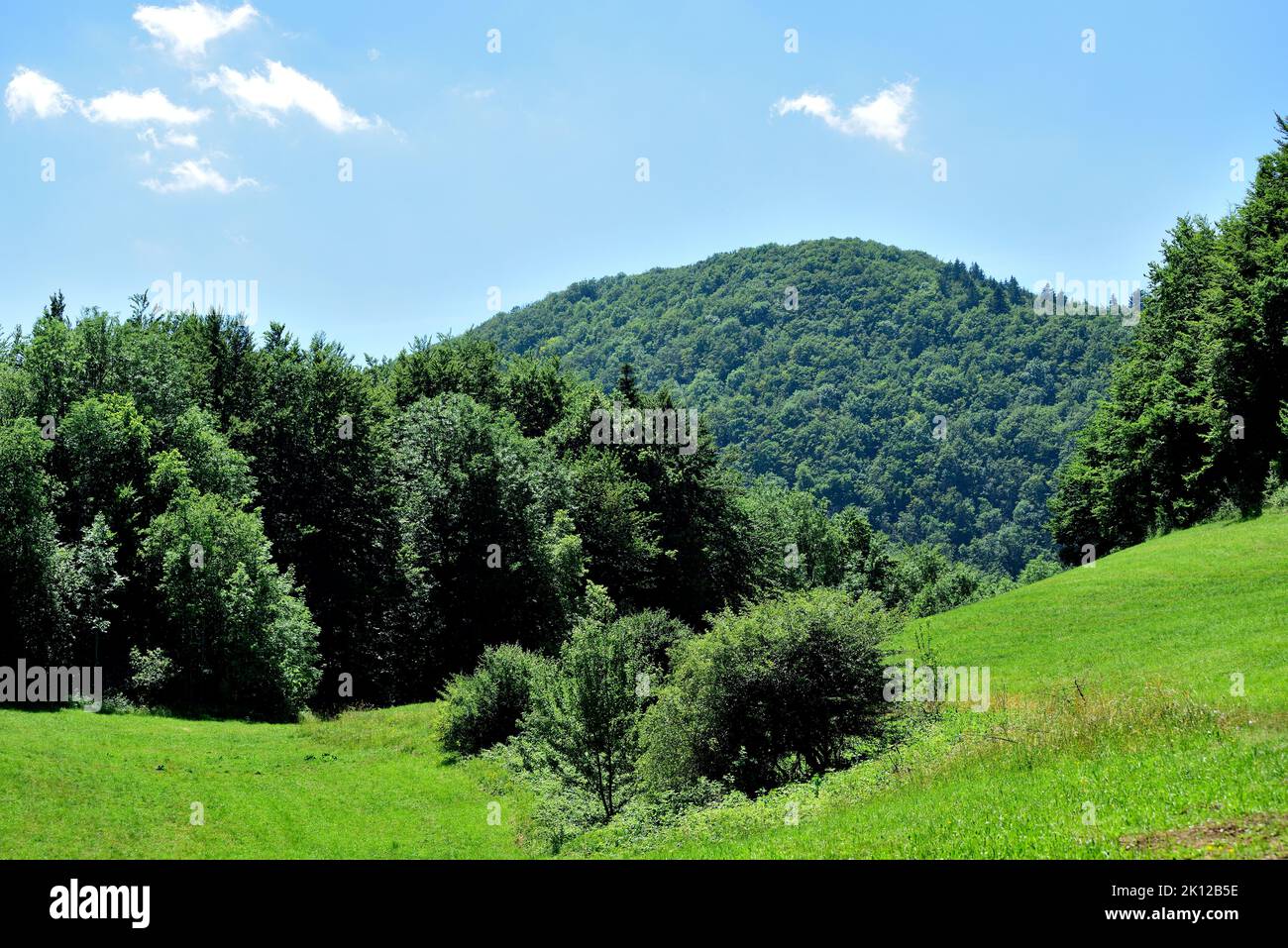 Hügelige Landschaft, Wald, Wiesen, Sträucher, bei Champfromier, Village, Departement Ain, Region Auvergne-Rhône-Alpes, Frankreich Stockfoto