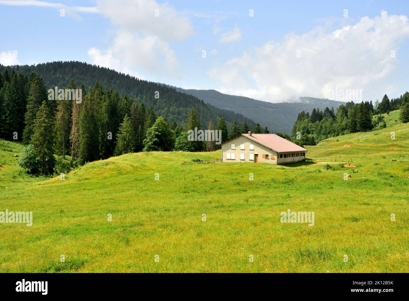 Bauernhaus, Jura-Landschaft, Weiden, Wald, in der Nähe von La Marténi, Mijoux, Parc regional du Haut-Jura, Departement Ain, Frankreich Stockfoto