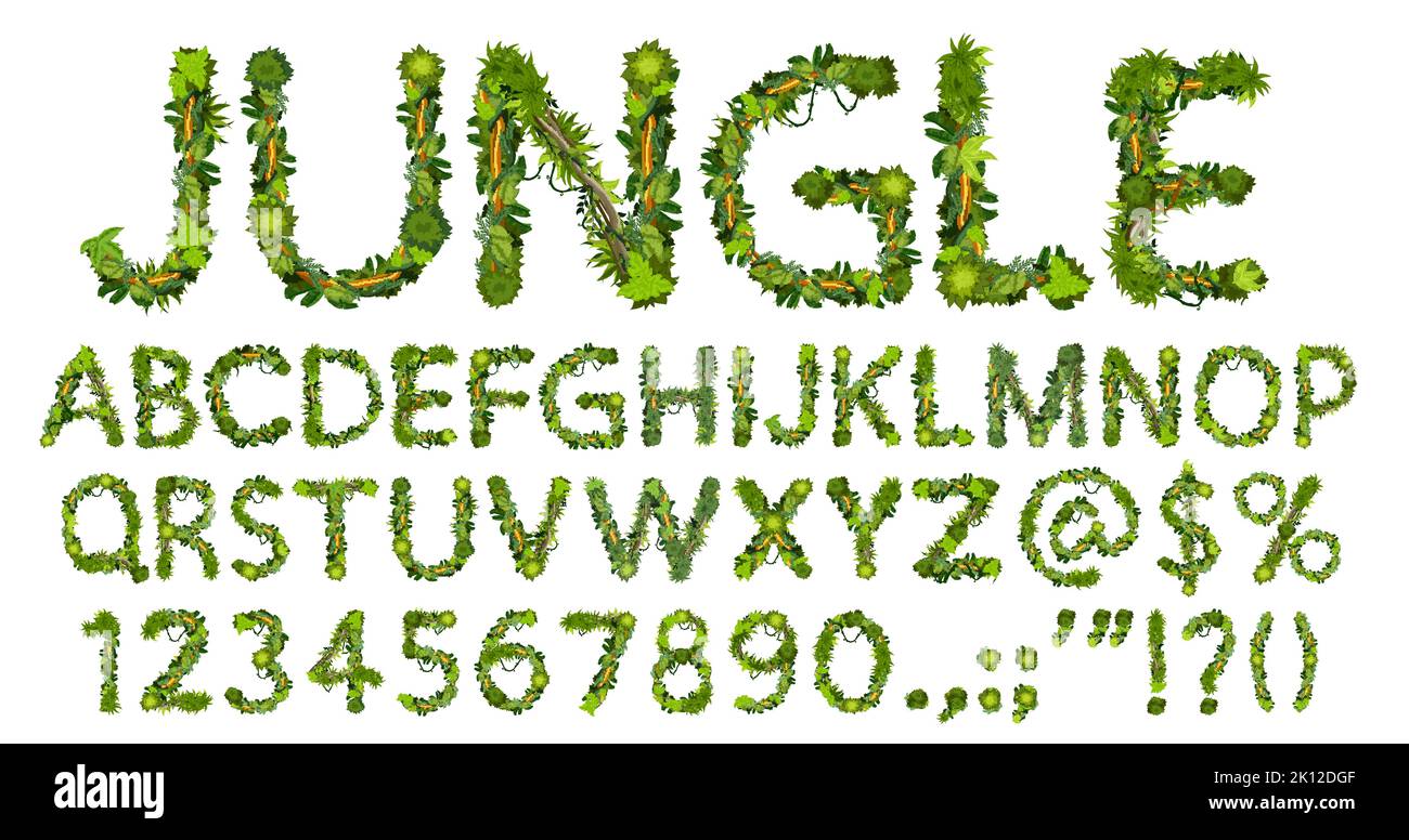 Cartoon Jungle Lianas Schrift, Schrift, Schrift Alphabet. Vektor abc Großbuchstaben, Ziffern und Satzzeichen. Englische oder lateinische Symbole von grünen Palmenblättern und Ästen, isolierte Typeset Stock Vektor