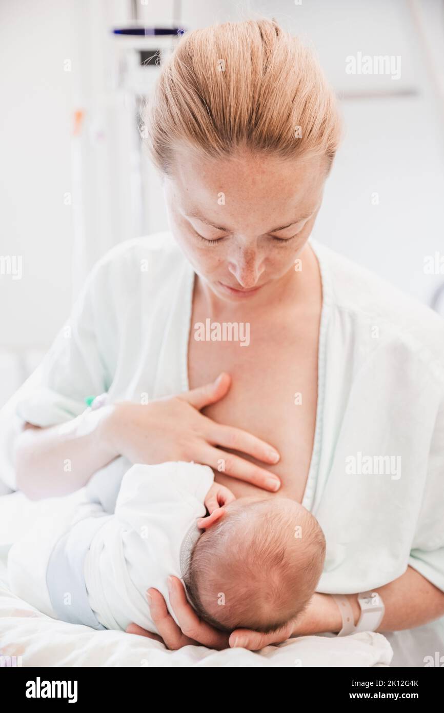 Die neue Mutter stillt ihren neugeborenen Jungen einen Tag nach der Wehen sorgfältig im Krankenhaus. Stockfoto