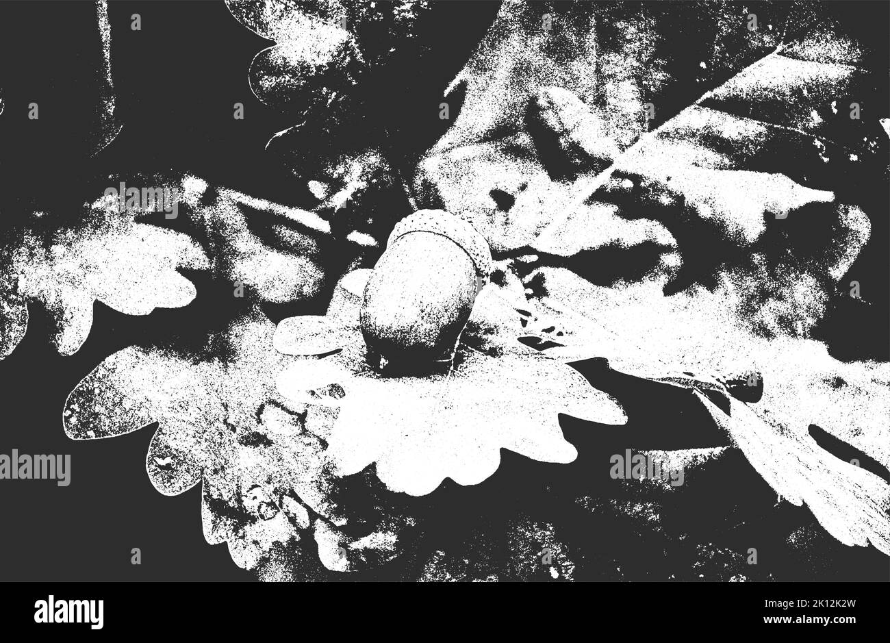 Notleidende Overlay Nahaufnahme Textur von Eicheln. Grunge schwarz-weiß Hintergrund. Abstrakte Halbton Vektor-Illustration Stock Vektor