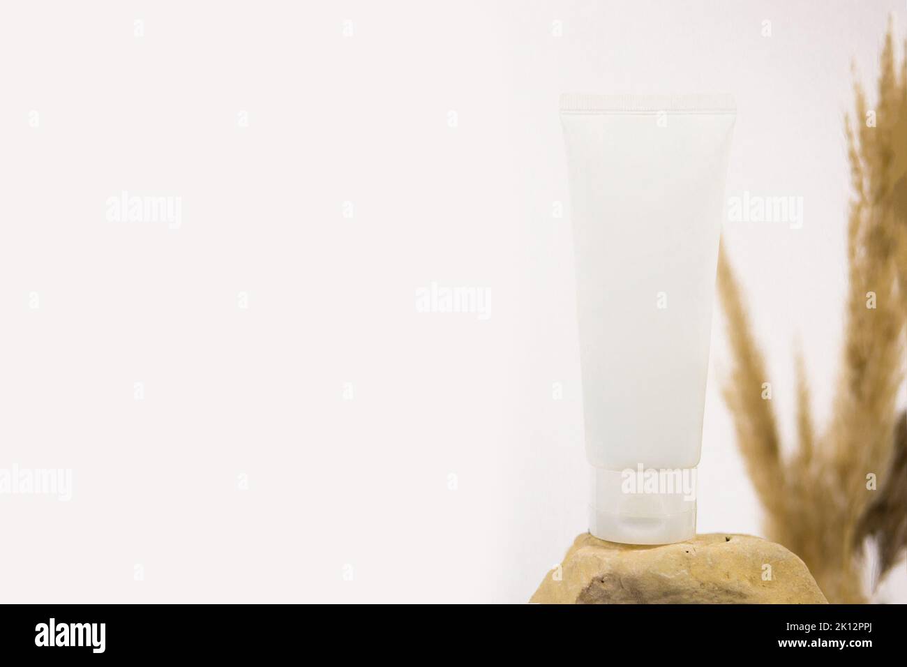 Mockup weiße Squeeze-Flasche kosmetischen Rohr auf Stein und Pampas Gras auf weißem Hintergrund. Creme, Gleitgel, Feuchtigkeitscreme, Hautpflege, Sonnencreme. Vorne Stockfoto