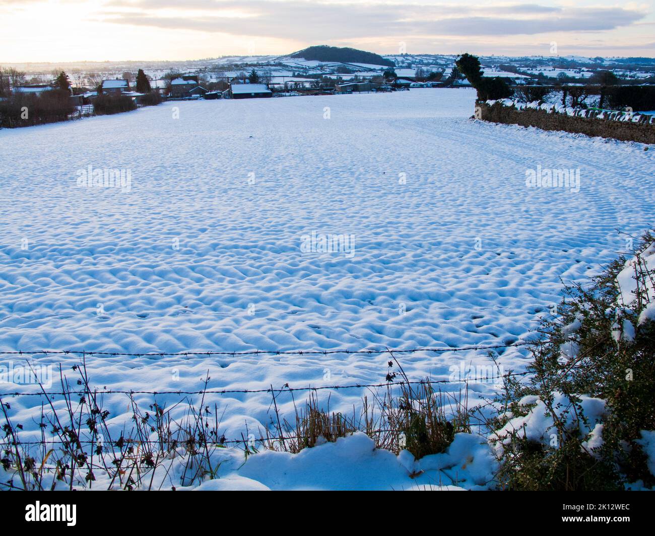 Schneebedecktes Feld Stockfoto