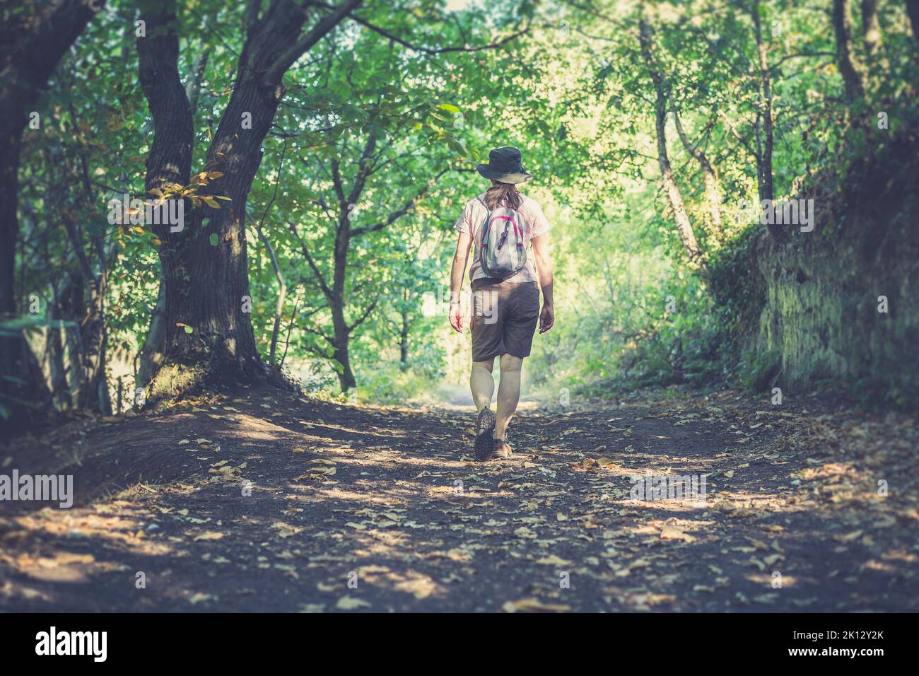 Rückansicht einer isolierten Frau, die im Sommer durch das schwache Sonnenlicht in den Wäldern/Wäldern Großbritanniens mit Shorts und Hut mit kleinem Rucksack spaziert. Stockfoto