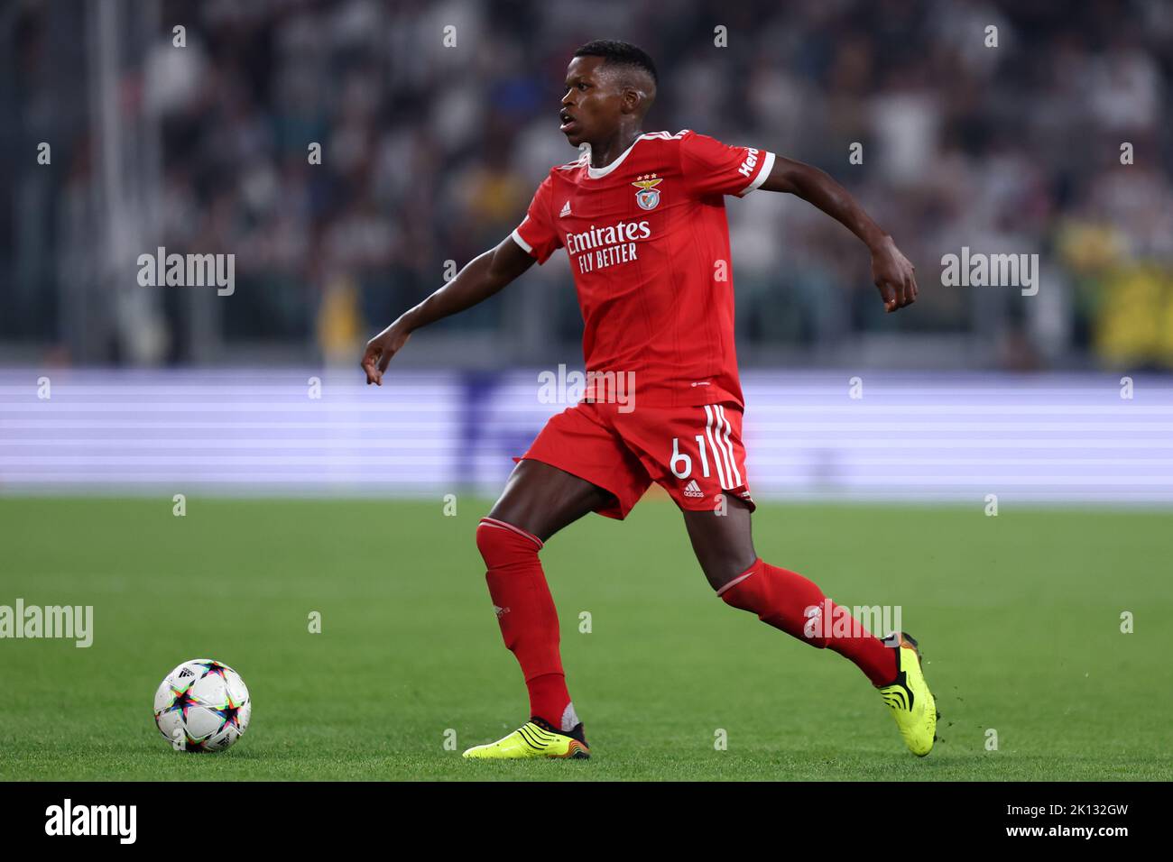 Florentino Luis von SL Benfica kontrolliert den Ball während des UEFA Champions League-Spiel der Gruppe H zwischen Juventus FC und SL Benfica am 14. September 2022 in Turin, Italien. Stockfoto