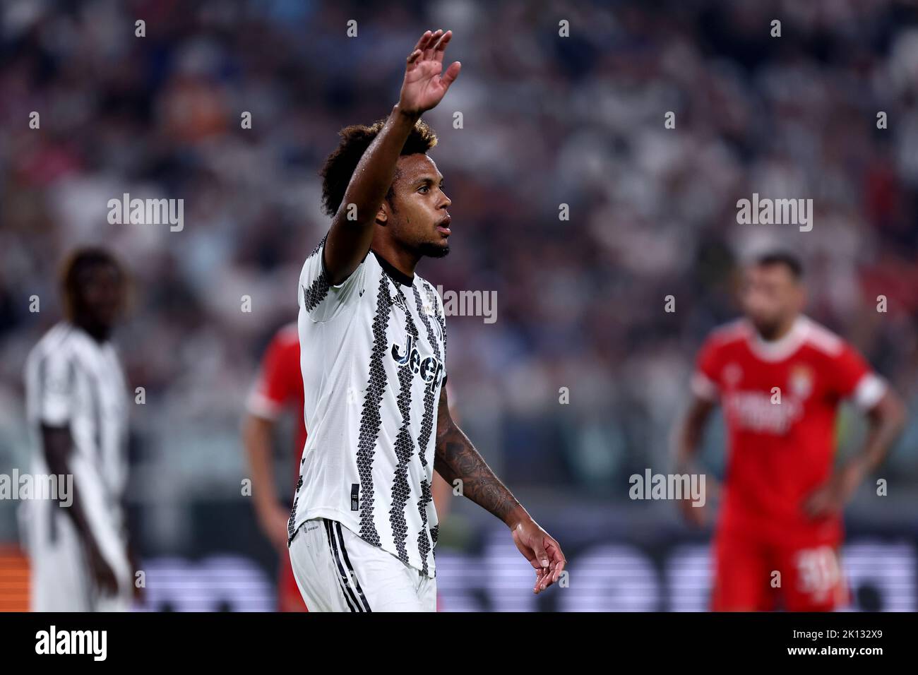 Weston Mckennie von Juventus FC ist beim UEFA Champions League-Spiel der Gruppe H zwischen Juventus FC und SL Benfica am 14. September 2022 in Turin, Italien, im Allianz Stadium zu sehen. Stockfoto
