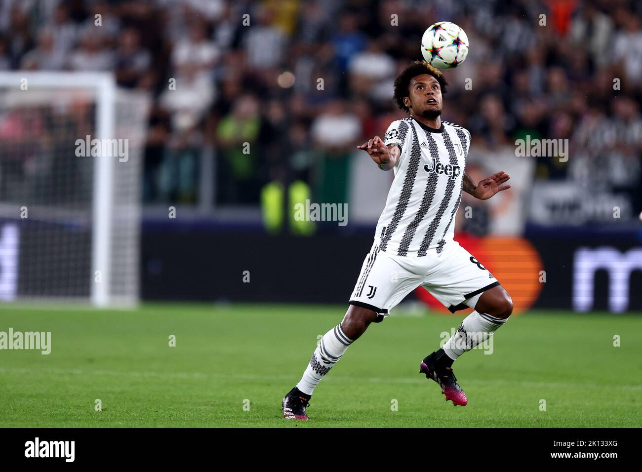 Weston Mckennie vom FC Juventus im Einsatz beim UEFA Champions League-Spiel der Gruppe H zwischen dem FC Juventus und SL Benfica am 14. September 2022 im Allianz Stadium in Turin, Italien. Stockfoto