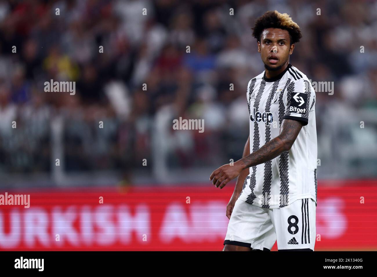 Weston Mckennie von Juventus FC schaut während des UEFA Champions League Group H-Spiels zwischen Juventus FC und SL Benfica am 14. September 2022 in Turin, Italien, im Allianz Stadium nach. Stockfoto
