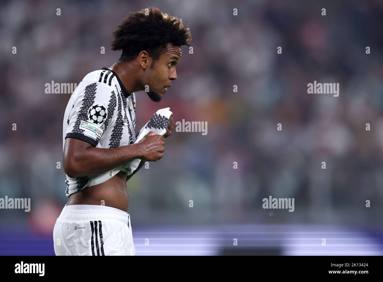 Weston Mckennie von Juventus FC schaut während des UEFA Champions League Group H-Spiels zwischen Juventus FC und SL Benfica am 14. September 2022 in Turin, Italien, im Allianz Stadium nach. Stockfoto