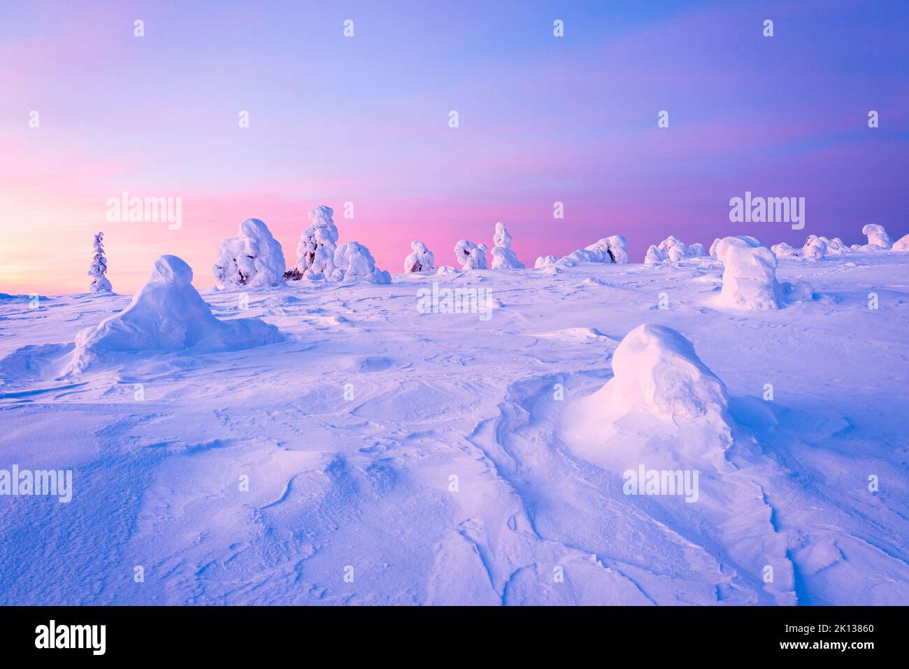 Romantischer Himmel im Morgengrauen über gefrorenen, schneebedeckten Bäumen, Riisitunturi-Nationalpark, Lappland, Finnland, Europa Stockfoto