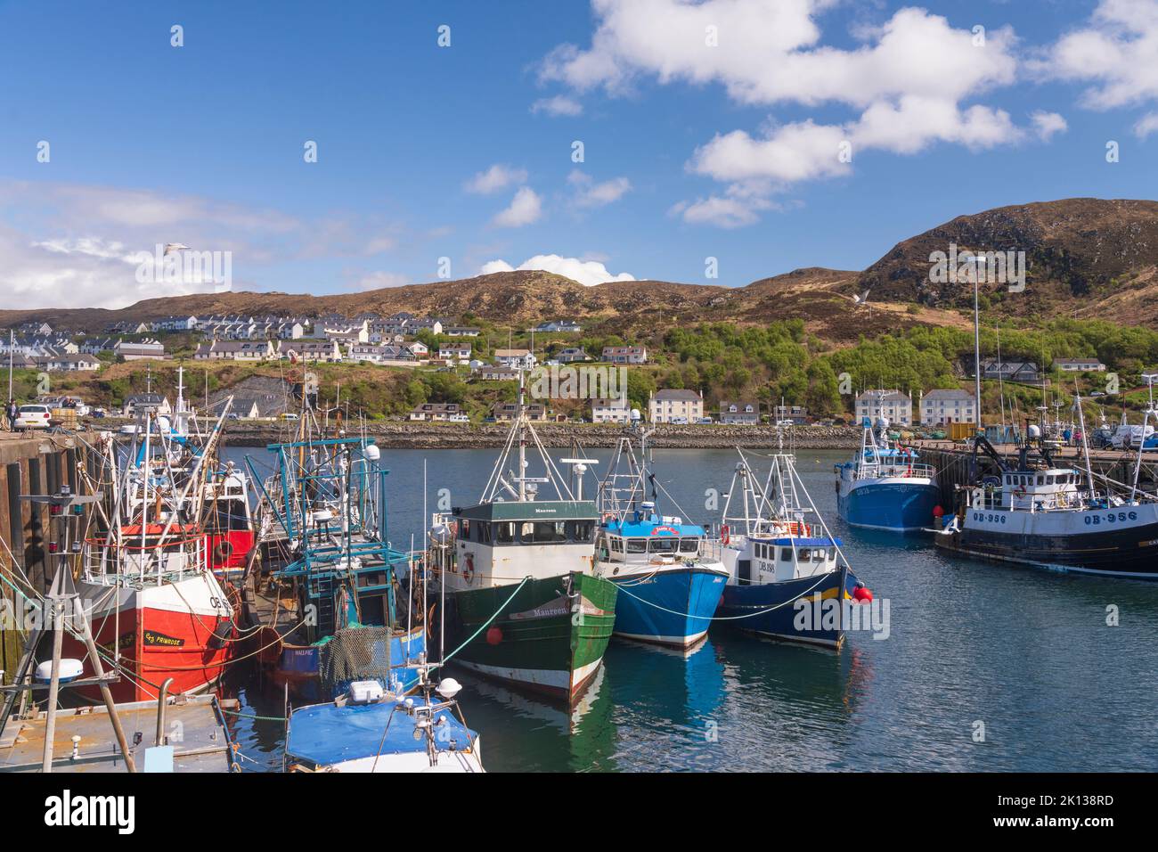 Angeln und Vergnügungsboote, die im Hafen von Mallaig, Highlands, Schottland, Vereinigtes Königreich, Europa festgemacht sind Stockfoto