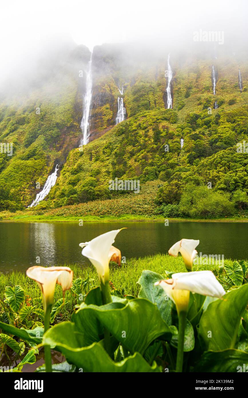 Nebliger Blick auf den malerischen Wasserfall von Ribeira do Ferreiro und seine Reflexion im See mit Blumen, Flores Insel, Azoren, Portugal, Atlantik Stockfoto