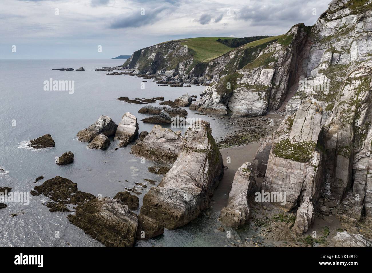 Luftaufnahme der dramatischen Klippen an der Westcombe Bay an der Südküste von Hams, Devon, England, Großbritannien, Europa Stockfoto